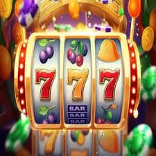 domtoto login Qiu Qiu live table showing card hands, player positions, and betting interface
